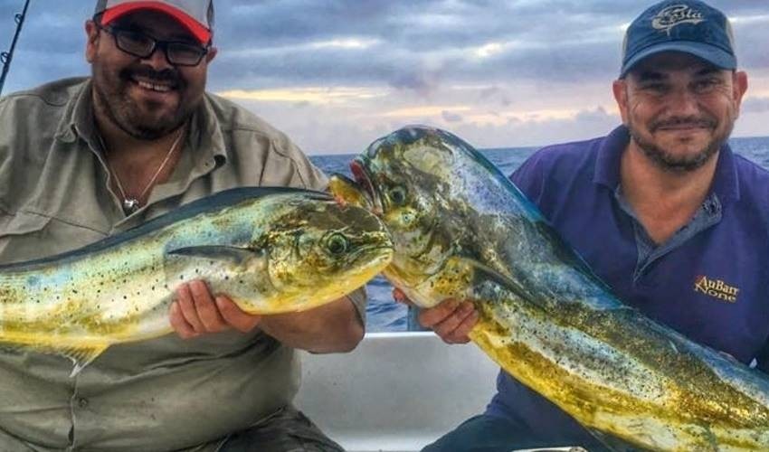 Big Game Fishing (Private) | Fish Whisperer