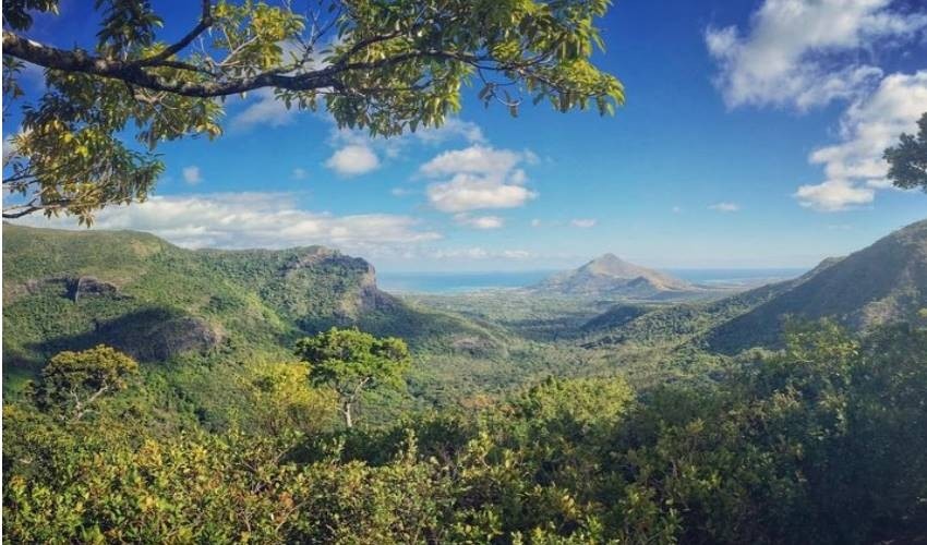 Black River Gorges Forest Hiking | Yanature