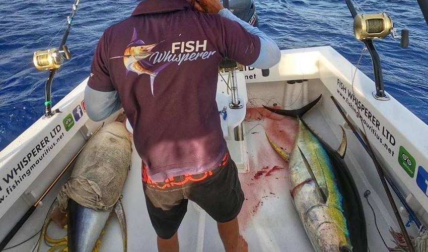 Big Game Fishing (Private) | Fish Whisperer