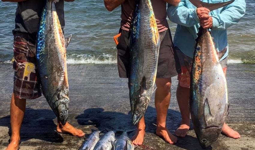 Big Game Fishing (Private) | Fish Whisperer