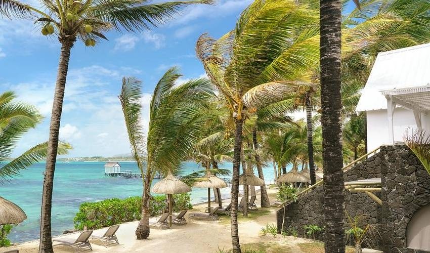 Day Pass | Tropical Attitude (Adults Only)