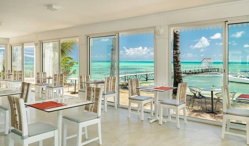 Day Pass | Tropical Attitude (Adults Only)