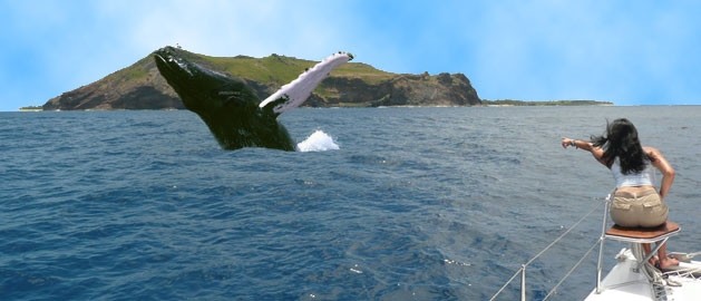 Wind Dancer Catamaran (Shared)
