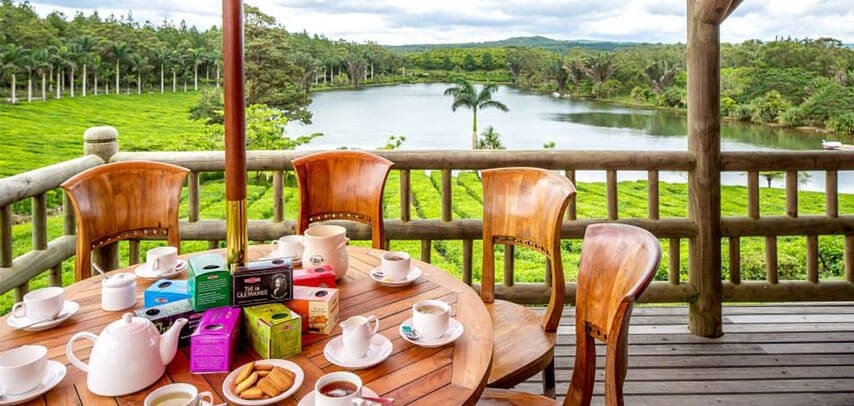 Visit & Lunch | Le Domaine de Bois Cheri