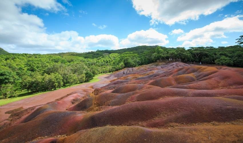 CHAMAREL 7 COLOURED EARTH