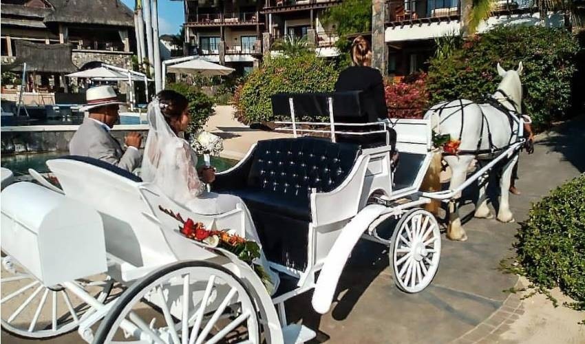 Wedding Horse Carriage for 1 hour | Les Calèches Du Paradis 