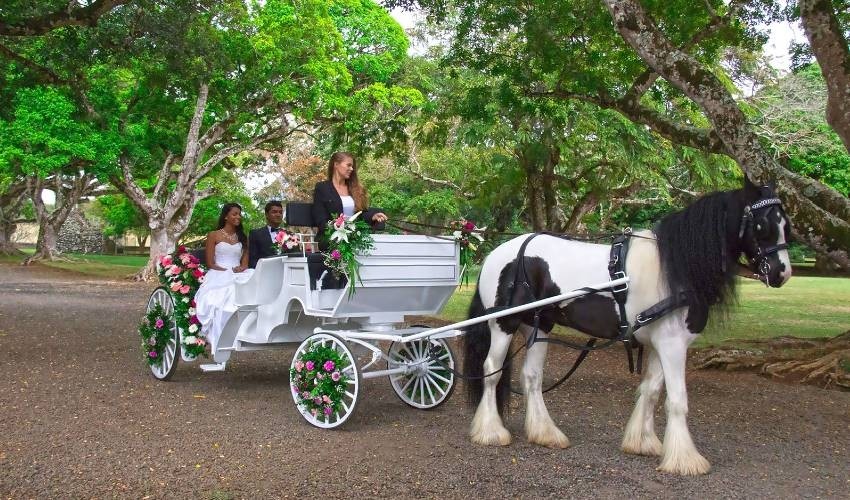 Wedding Horse Carriage for 1 hour | Les Calèches Du Paradis 