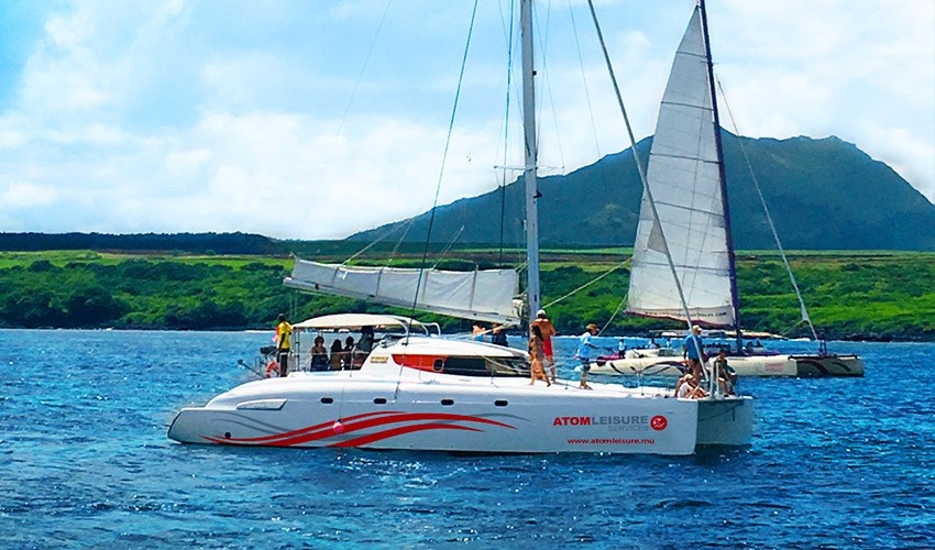 Catamaran See Dolphins | Atom Leisure boat