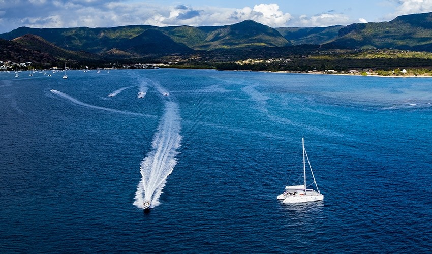 Catamaran See Dolphins | Atom Leisure boat