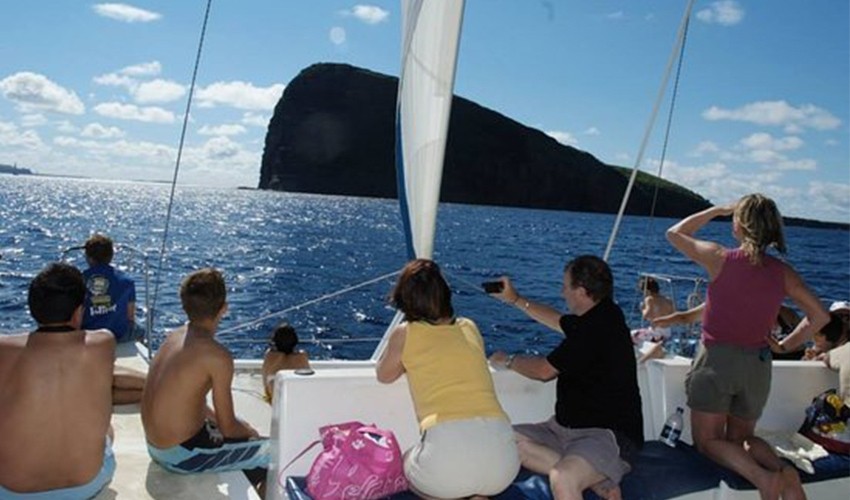 Coral Belle Catamaran