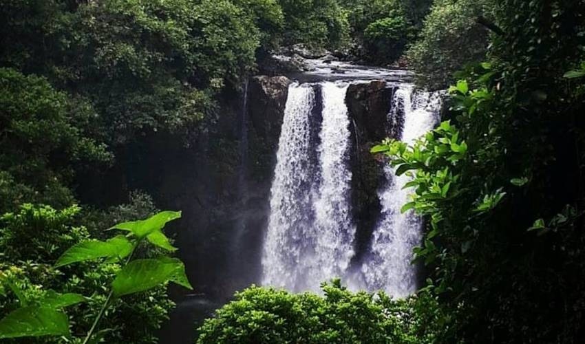 WILDLIFE HIKING | L'EXIL LODGES