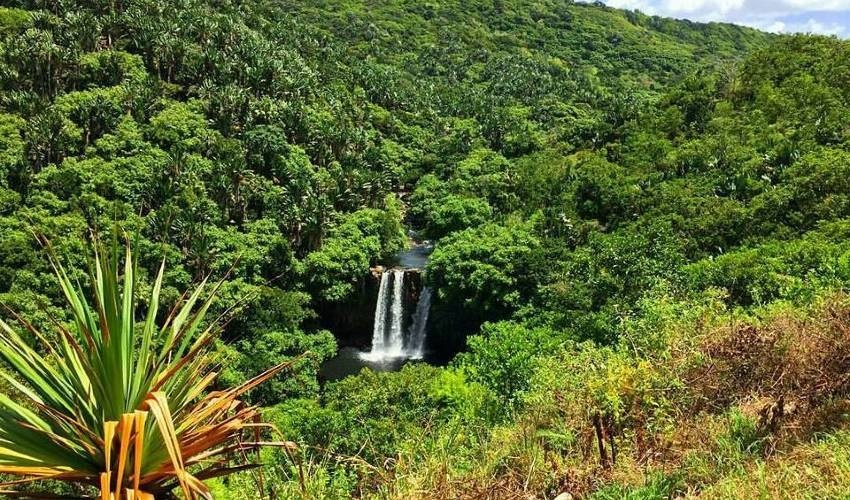 WILDLIFE HIKING | L'EXIL LODGES