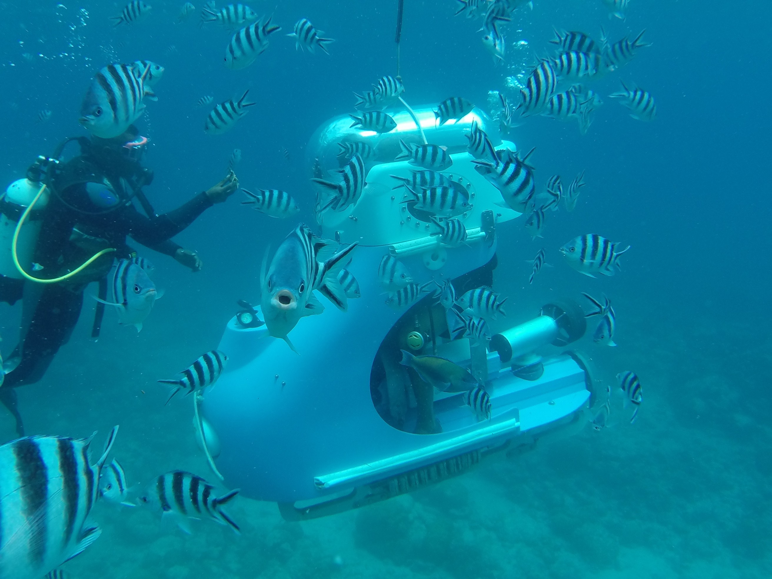 SUBSCOOTER | BLUE SAFARI