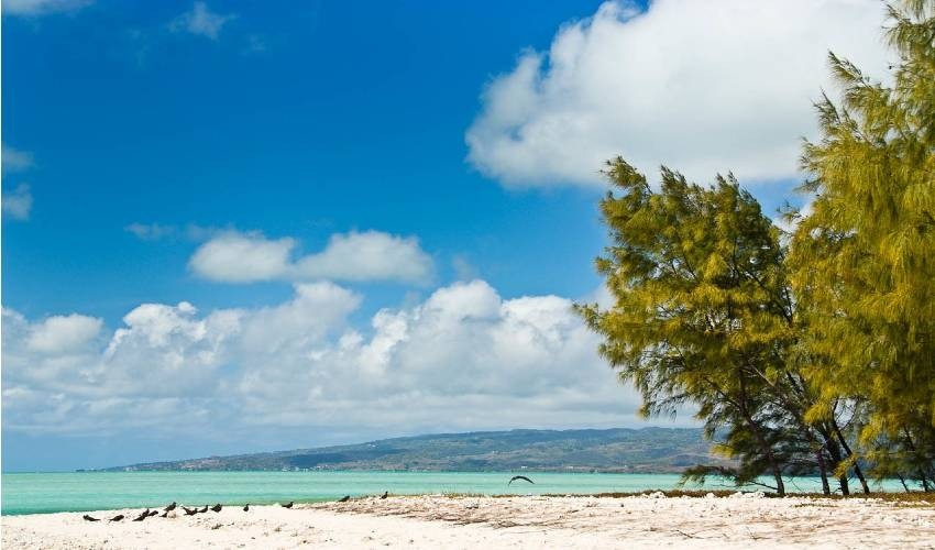 Ile Aux Cocos