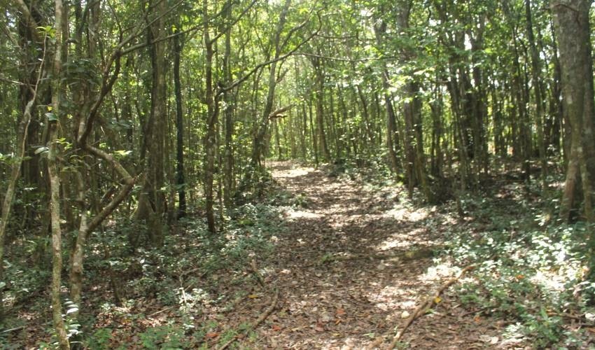 WILDLIFE HIKING | L'EXIL LODGES
