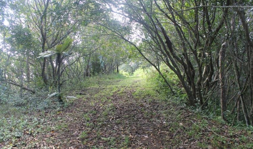 WILDLIFE HIKING | L'EXIL LODGES
