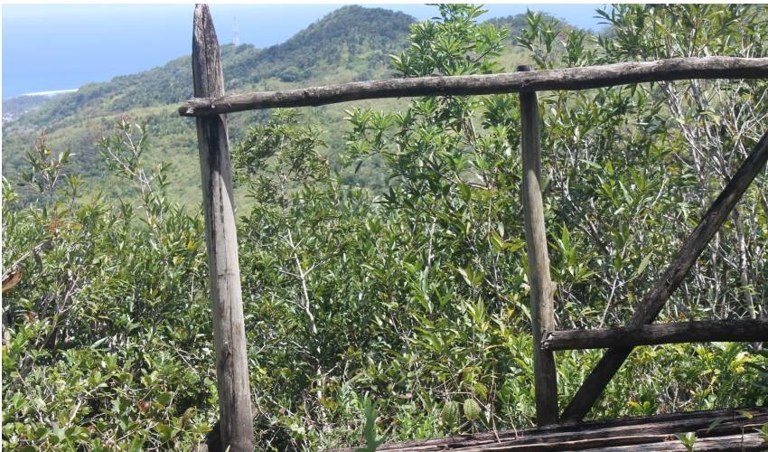 WILDLIFE HIKING | L'EXIL LODGES