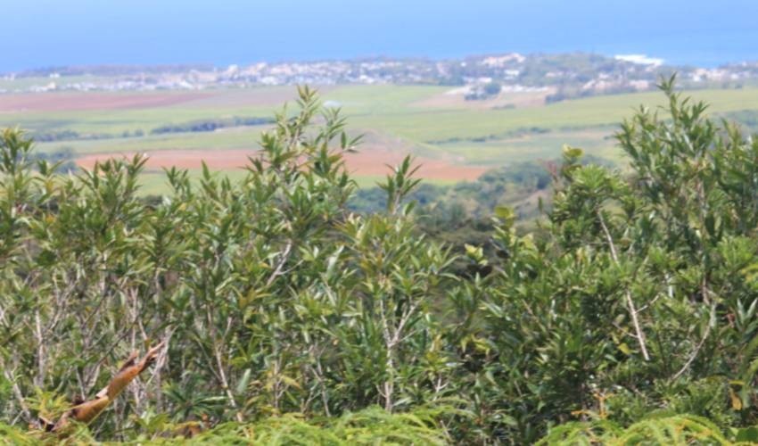 WILDLIFE HIKING | L'EXIL LODGES