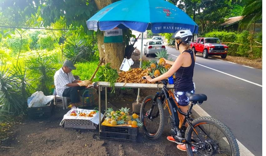 ELECTRO BIKE DISCOVERY(PAMPLEMOUSSES) | DUNIEN ZÎL