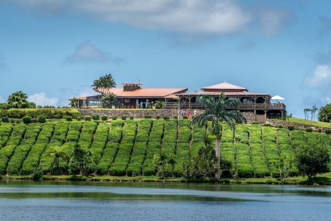 Visit & Lunch | Le Domaine de Bois Cheri