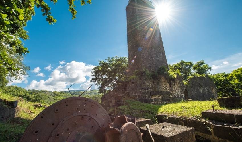 DISCOVERY TRAIL | HERITAGE NATURE RESERVE