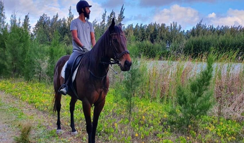 Centre Equestre de Riambel | Horse riding