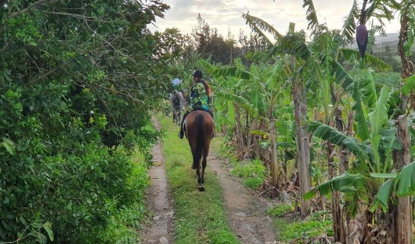 Centre Equestre de Riambel | Horse riding