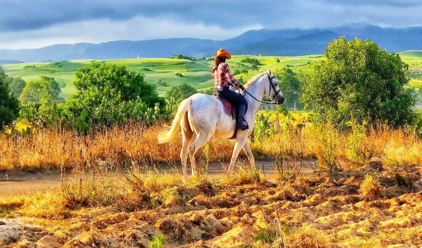 Centre Equestre de Riambel | Horse riding