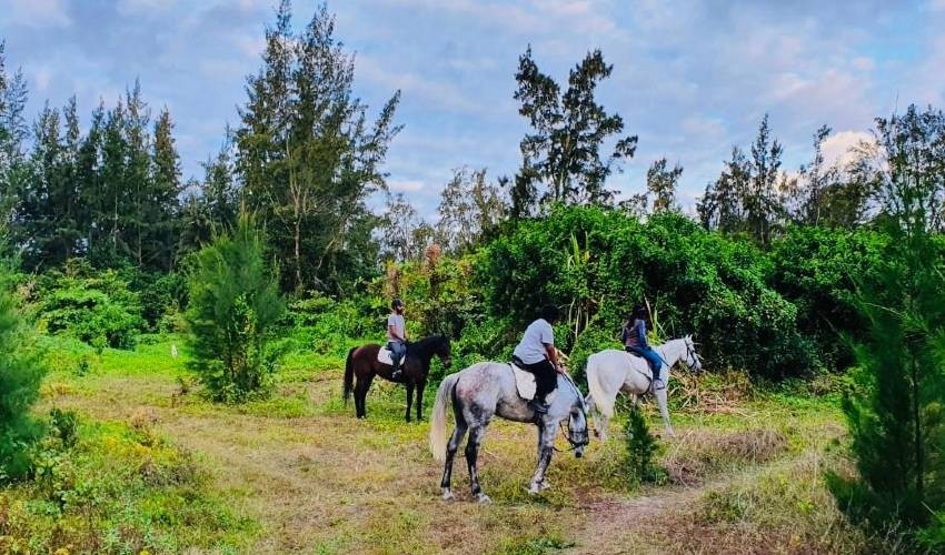 Centre Equestre de Riambel | Horse riding