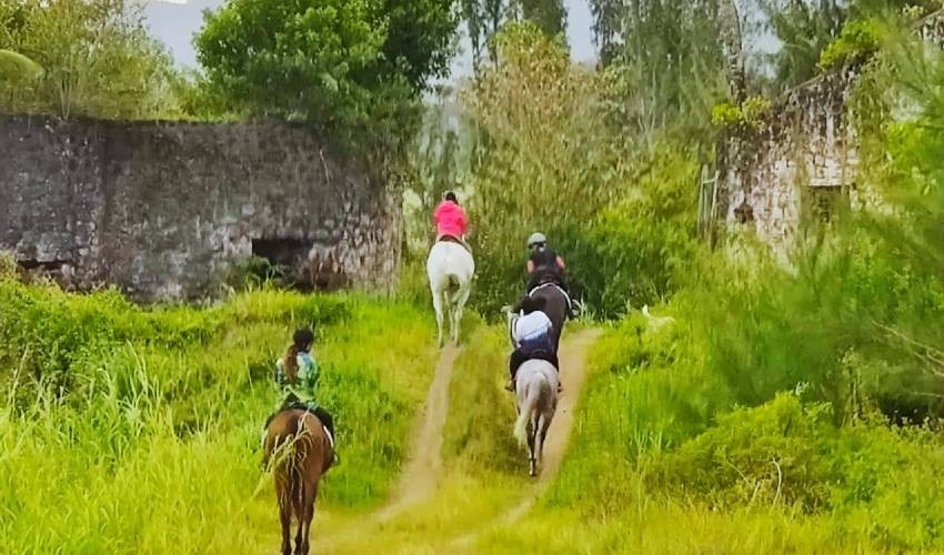 Centre Equestre de Riambel | Horse riding