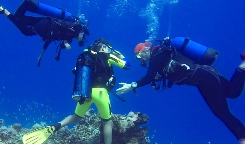 Diving on west coast (1 dive) | Ti Cabo