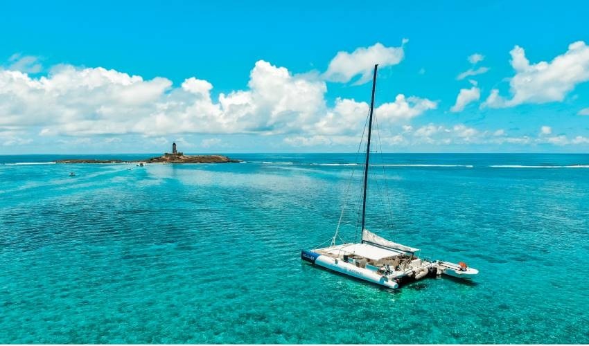 Full-Day (Shared) Catamaran Cruise to discover the South East | Silver Swordfish - Croisières Australes