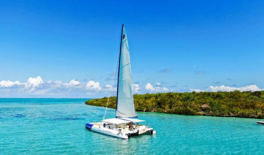 Full-Day (Shared) Catamaran Cruise to discover the South East | Silver Swordfish - Croisières Australes
