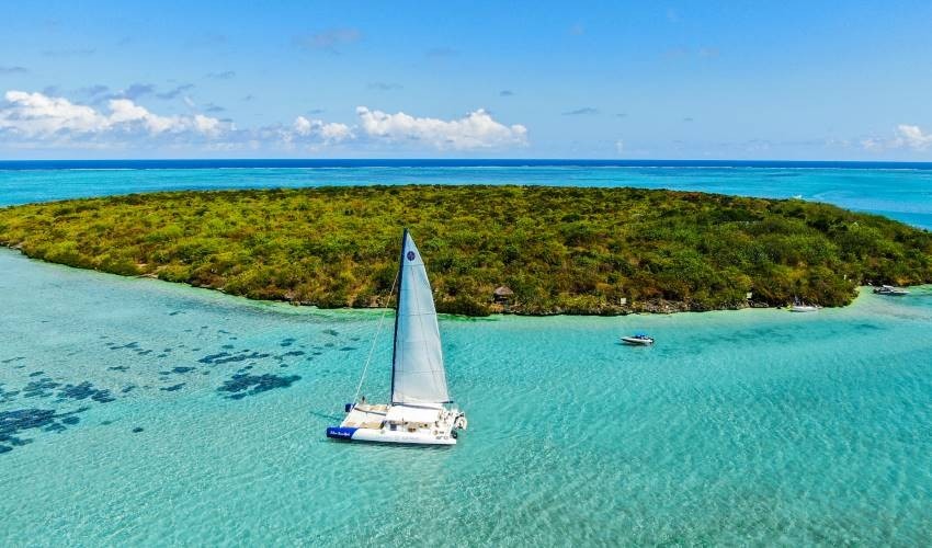 Full-Day (Shared) Catamaran Cruise to discover the South East | Silver Swordfish - Croisières Australes