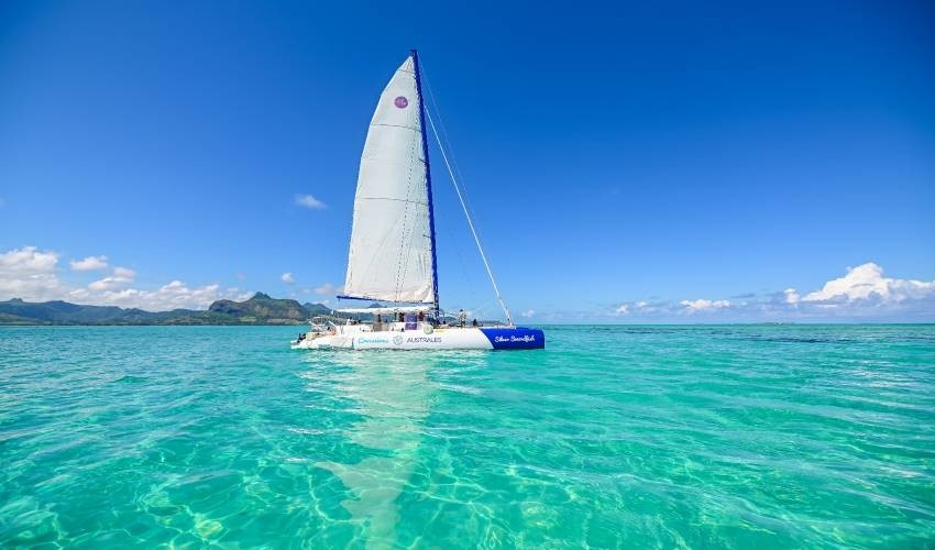 Full-Day (Shared) Catamaran Cruise to discover the South East | Silver Swordfish - Croisières Australes