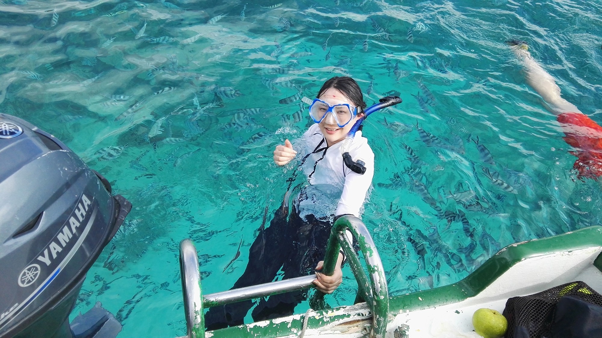 GLASS BOTTOM & SNORKELING EXPERIENCE AT BLUE BAY
