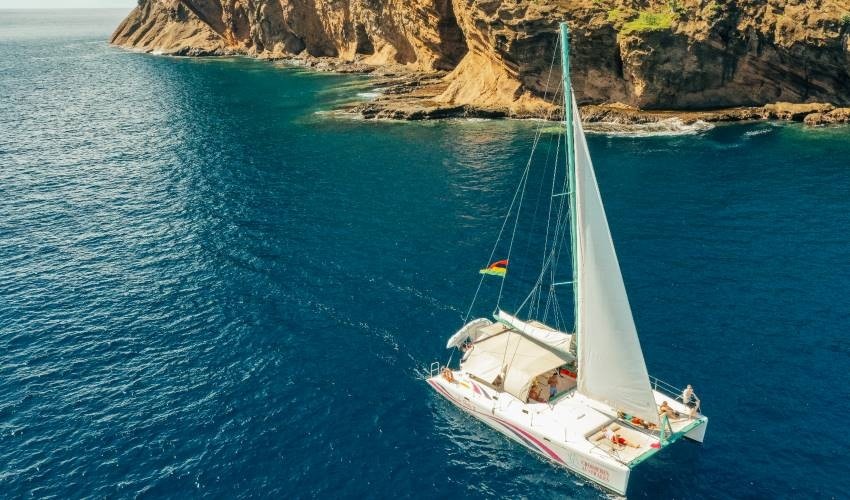 Full-Day (shared) Catamaran Cruise to the North | Wahoo-Croisières Australes