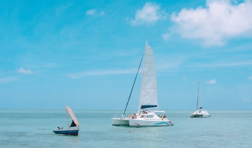 Full-Day (shared) Catamaran Cruise to the North | Wahoo-Croisières Australes