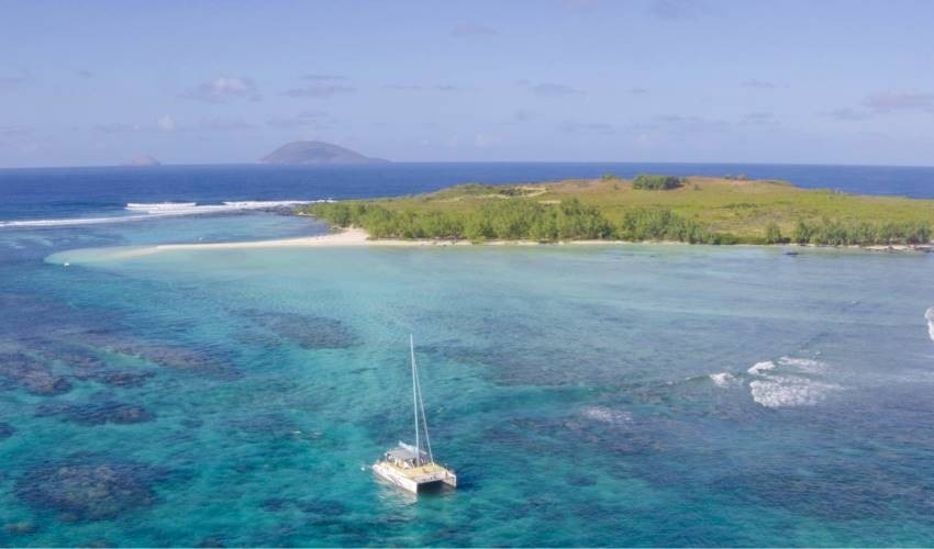 Full-Day (shared) Catamaran Cruise to the North | Wahoo-Croisières Australes