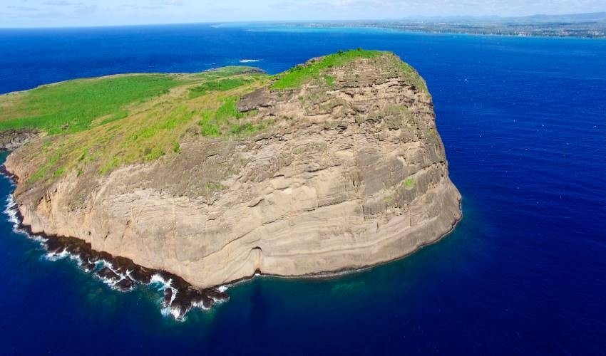 Full-Day (shared) Catamaran Cruise to the North | Wahoo-Croisières Australes