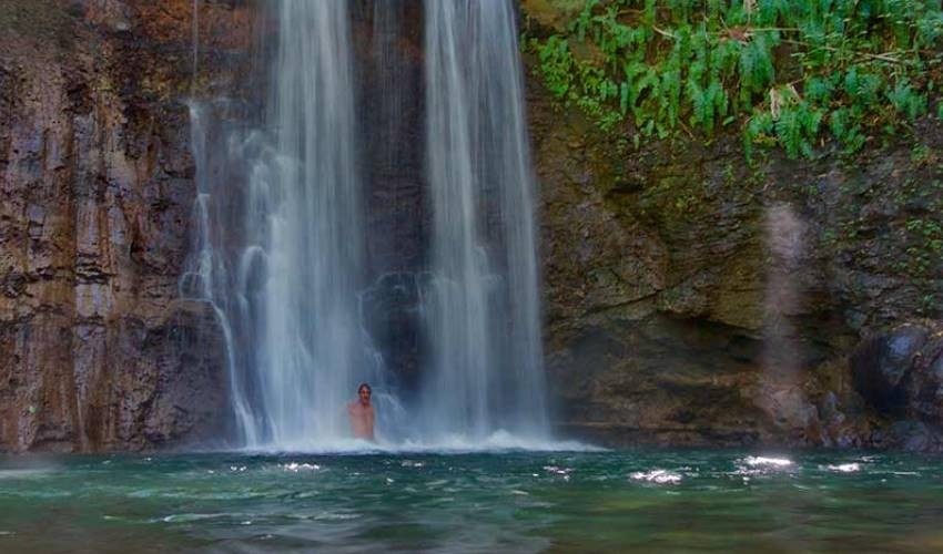 The Wild South Hiking | Yanature